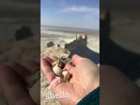 The Bottom of the Dried-up Ocean - Bozjyra, Kazakhstan