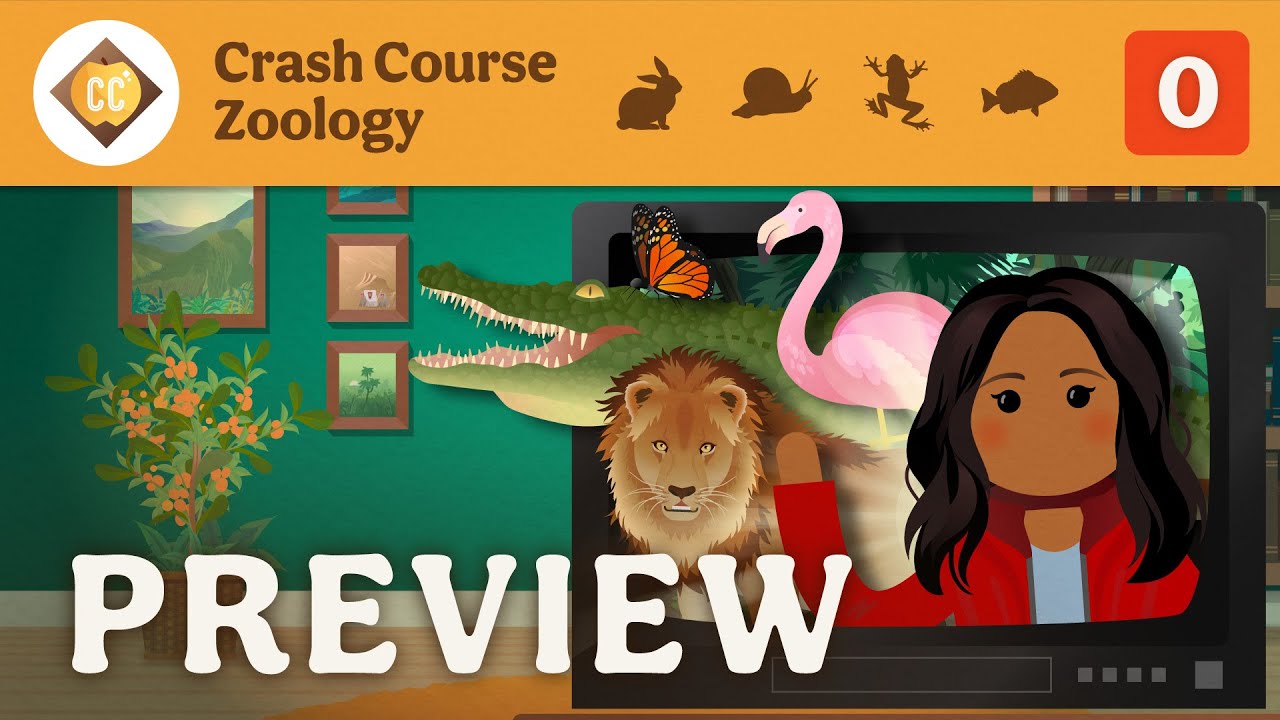 🐌 Crash Course Zoology Preview