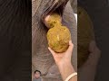Elephant Poop Elephant Shorts