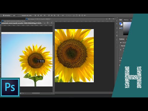 Adobe Photoshop основы знакомство с программой