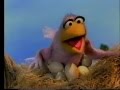 Sesame Street Looking For A Big Nest