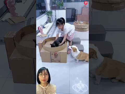 Cô bé định nấu thú cưng #trending #trendingshorts #trendingvideo #shorts #shortsviral #viralshorts