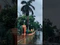 WhatsApp Status Iskcon Mayapur Mayapur ISKCON Mandir Mayapur Status Shortsvideo