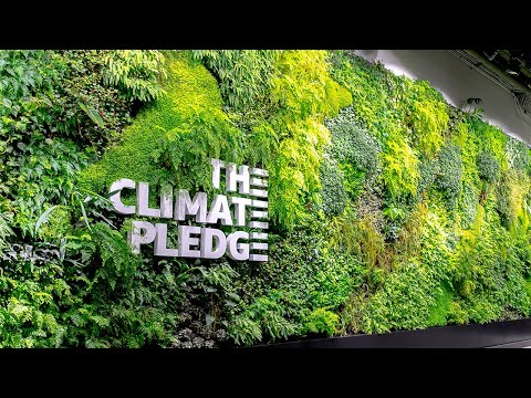 Climate Pledge Arena Overview Catalyst Workplace Activation