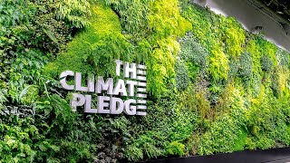 Climate Pledge Arena Overview - Catalyst Workplace Activation