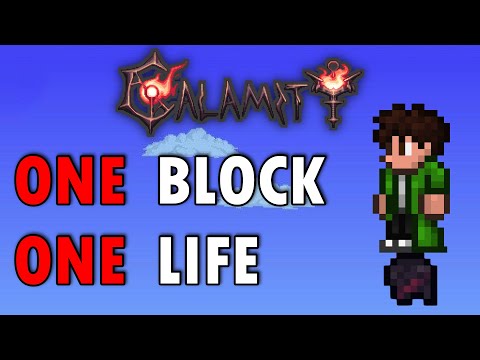 How I beat CALAMITY ONE BLOCK on HARDCORE! (Terraria)