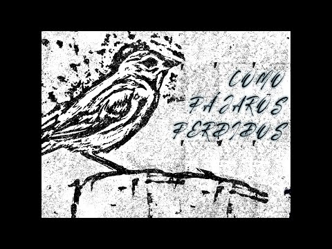 Dablink vs Crisor - Final | Como pájaros perdidos