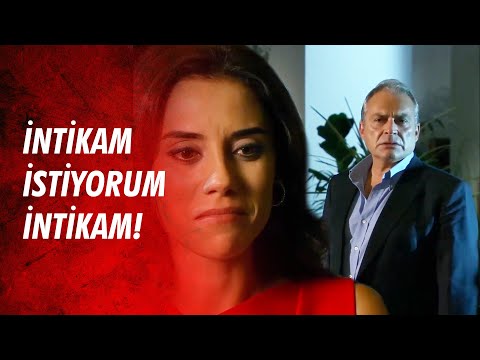 Kenan Birkan'ın Savaşının Bahçesindeyim