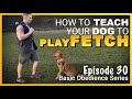 How To Teach Your Dog To Play Fetch Episode 30