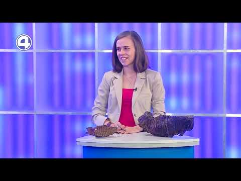 По Екатеринбургу гуляли мамонты: изучаем этих удивительных животных