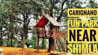 preview picture of video 'Near SHIMLA|CARIGNANO PARK NICE TIMEOUT | TREE HOUSE'