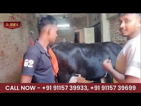  we share real customer feedback on BSK ELECTRO-VET-21 Animal Feed Supplement.