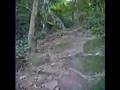 LONGA CAMINHADA