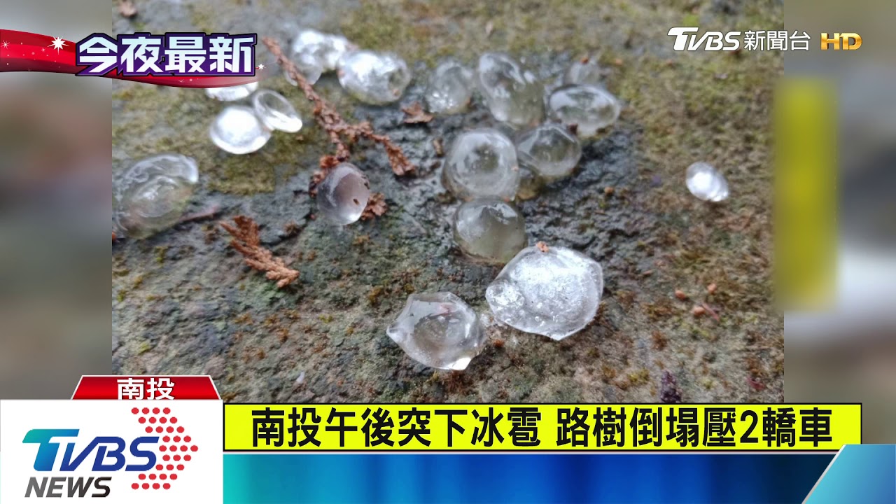 南投午後突下冰雹 路樹倒塌壓2轎車