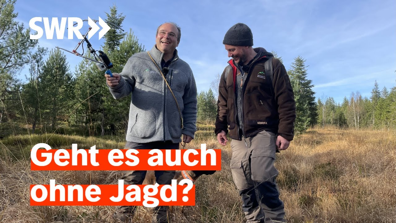 Jagdfreie Zone Nationalpark Schwarzwald | Zur Sache Baden-Württemberg