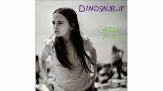 Dinosaur Jr. - Thumb