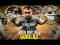 PERNAS ABSURDAS! JULIO GORILA MOSTROU EXATAMENTE O QUE FAZ