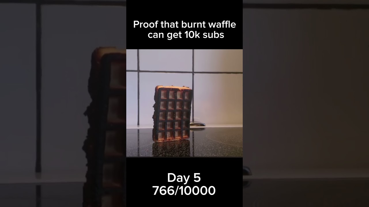 Proof that burnt waffle can get 10k subs Day 5 #memes #shorts #waffle