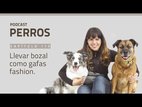 [PODCASTperros] Capítulo 115. Llevar bozal como gafas fashion