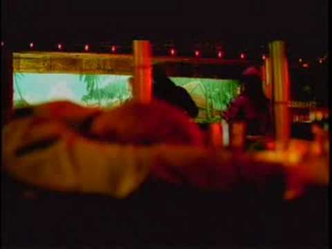 THE NEW PORNOGRAPHERS AND THE CASE OF NEKO