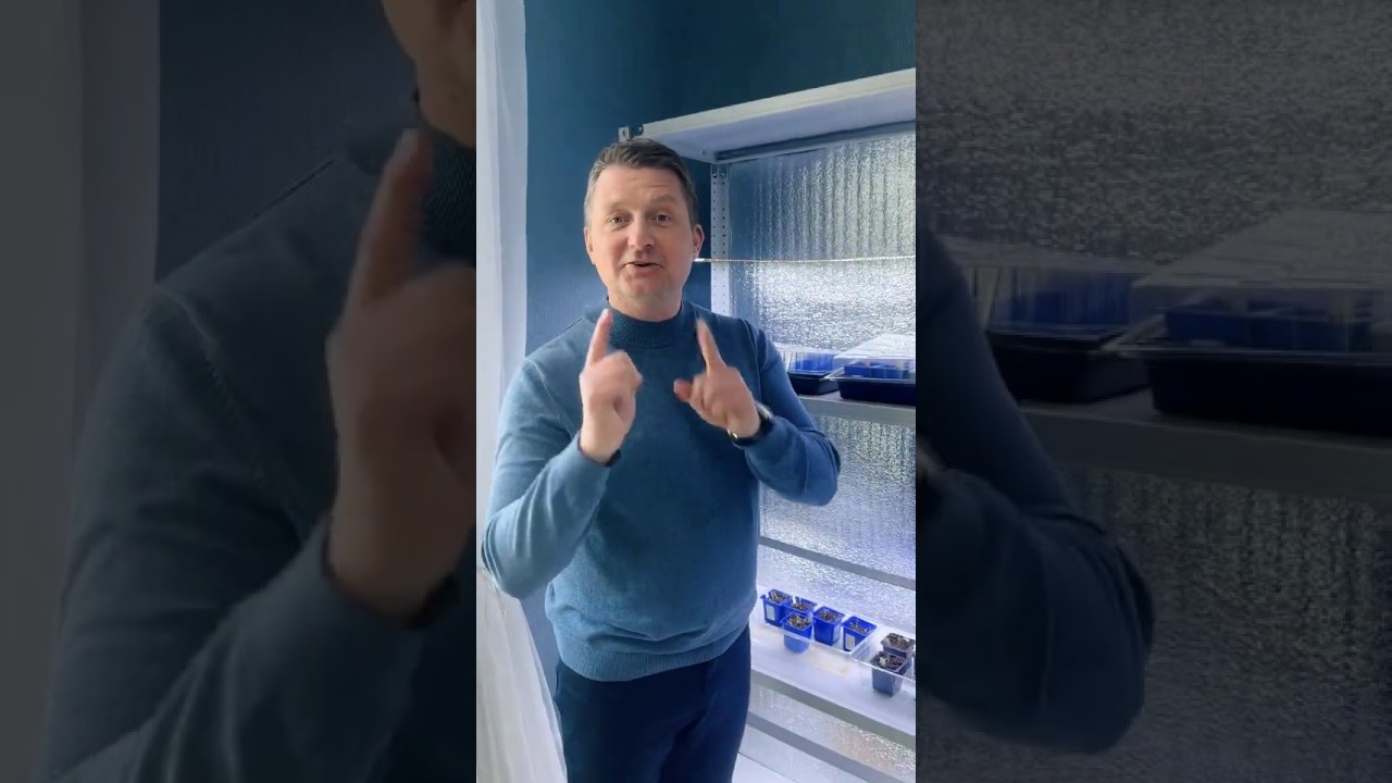 Уже считаем первые всходы! Новости нашего Агрореалити Битва за урожай