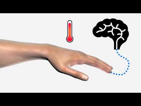 What is Hand Arm Vibration Syndrome? | HAVS | iHASCO