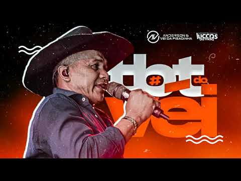 Anderson Eo Véi Da Pisadinha - #TBTDoVéi [Pra Paredão] #LuccasDaMídia