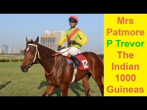 Mrs Patmore with P Trevor up beats Hall of Famer in The Indian 1000 Guineas 2016
