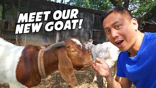 We Got A New Goat! 🐐 | Vlog #1768