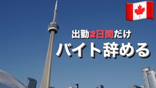 【トロント】海外で働くの辛すぎて2日間で心が折れました：理不尽