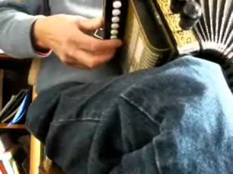 Melodeon 4 stop one row D: 3 tunes: Bill Johnston