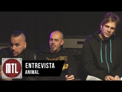 Animal video Entrevista MTL - Temporada 04 - Julio 2015