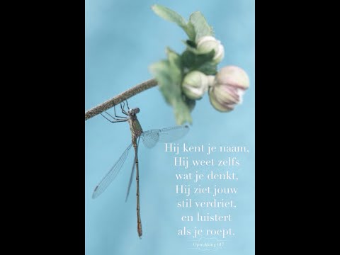 Opwekking 617 - Hij kent mijn naam(een machtige Maker)