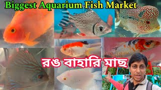 রঙ বাহারি মাছ | Aquarium Fish Haat Serampore | Pet Market Shrirampur | শ্রীরামপুর হাটের রঙিন মাছ 