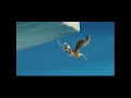 Previews From Because Of Winn Dixie Side B 2005 DVD