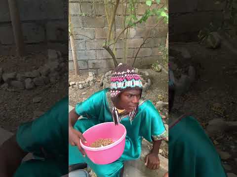 Fè ekonomi pa vle di chich😂😂part 6