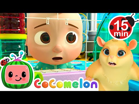 Lost Hamster | CoComelon | Songs and Cartoons | Best Videos for Babies