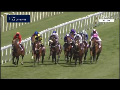 Angel Oak Tree Stakes - Gruppe 3