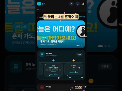 혼픽(Honpick)