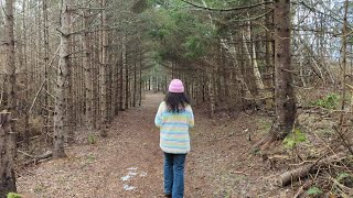 LET'S GO FOR A WALK  #subscribe #exercise #trending #new #video #nature #canada #shopping #driving