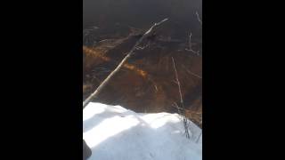 Как ловить щуку на петлю уроки