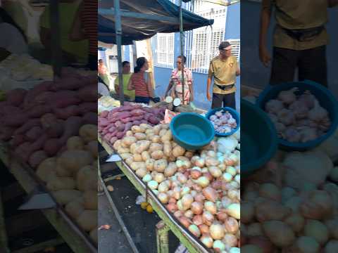 Vitória de Santo Antão PE