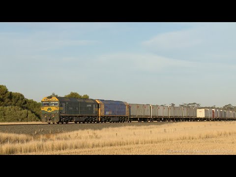 7901V Pacific National "Fruit Flyer" Arrives At Wingeel Loop (7/3/2019) - PoathTV Australian Trains