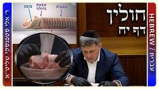 מרכז דף יומי - חולין דף יח. - ר' אלי סטפנסקי שליט"א