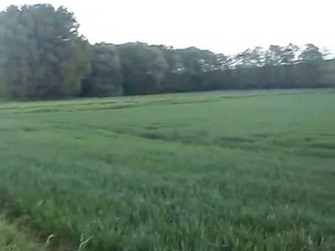 Felder in Würzburg-Lengfeld