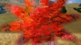 The Sixties Sorry e Baby Lies Dj Aly Pedroso