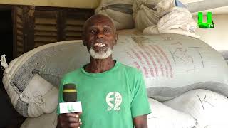 AYEKOO: BUY OUR RICE FOR SCHOOL FEEDING, WE ARE SUFFERING -   RICE FARMERS