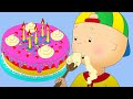 Birthday Cake | Caillou Cartoon