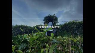 Download lagu Gigi - 11 Januari || Status WhatsApp. mp3