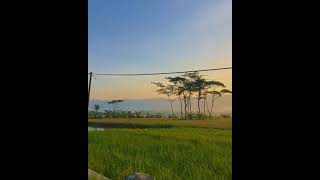 Download lagu Status WA Selamat Pagi mp3 Download lagu Status WA Selamat Pagi mp3